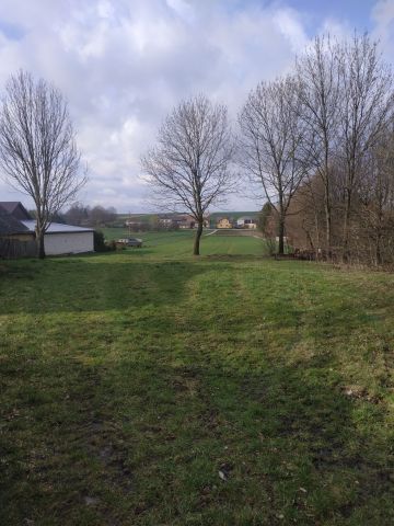 Działka rolno-budowlana Białowola. Zdjęcie 1