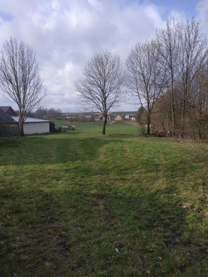 Działka rolno-budowlana Białowola. Zdjęcie 1