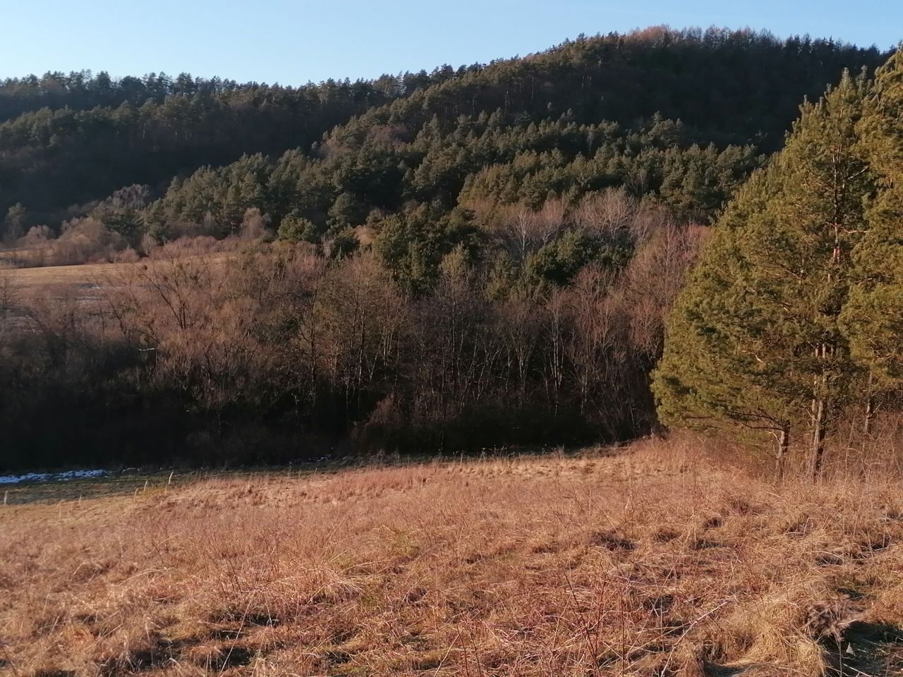 Działka rekreacyjna Rybotycze. Zdjęcie 13