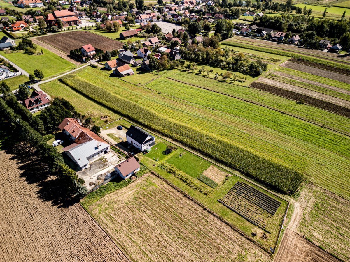 Działka budowlana Niegowić. Zdjęcie 4