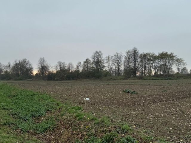 Działka inwestycyjna Mirosławice. Zdjęcie 9