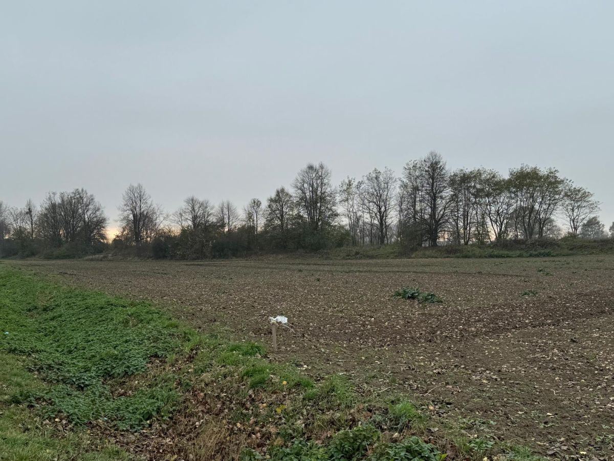 Działka inwestycyjna Mirosławice. Zdjęcie 9