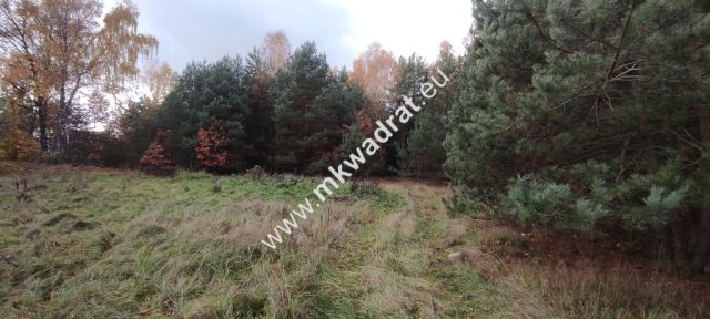 Działka budowlana Tłumy. Zdjęcie 8