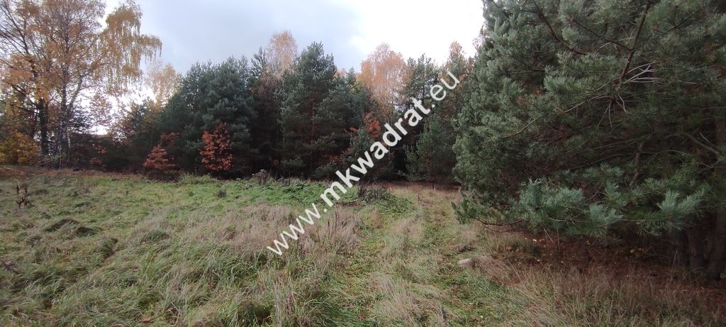 Działka budowlana Tłumy. Zdjęcie 8