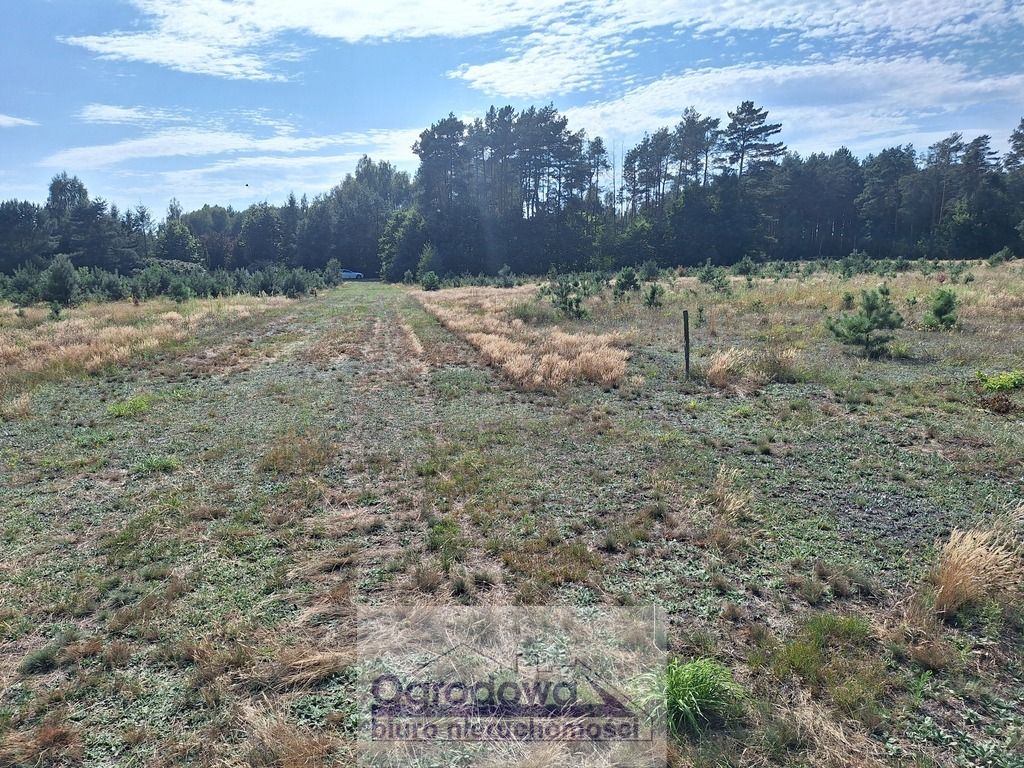 Działka rolno-budowlana Kupce. Zdjęcie 3