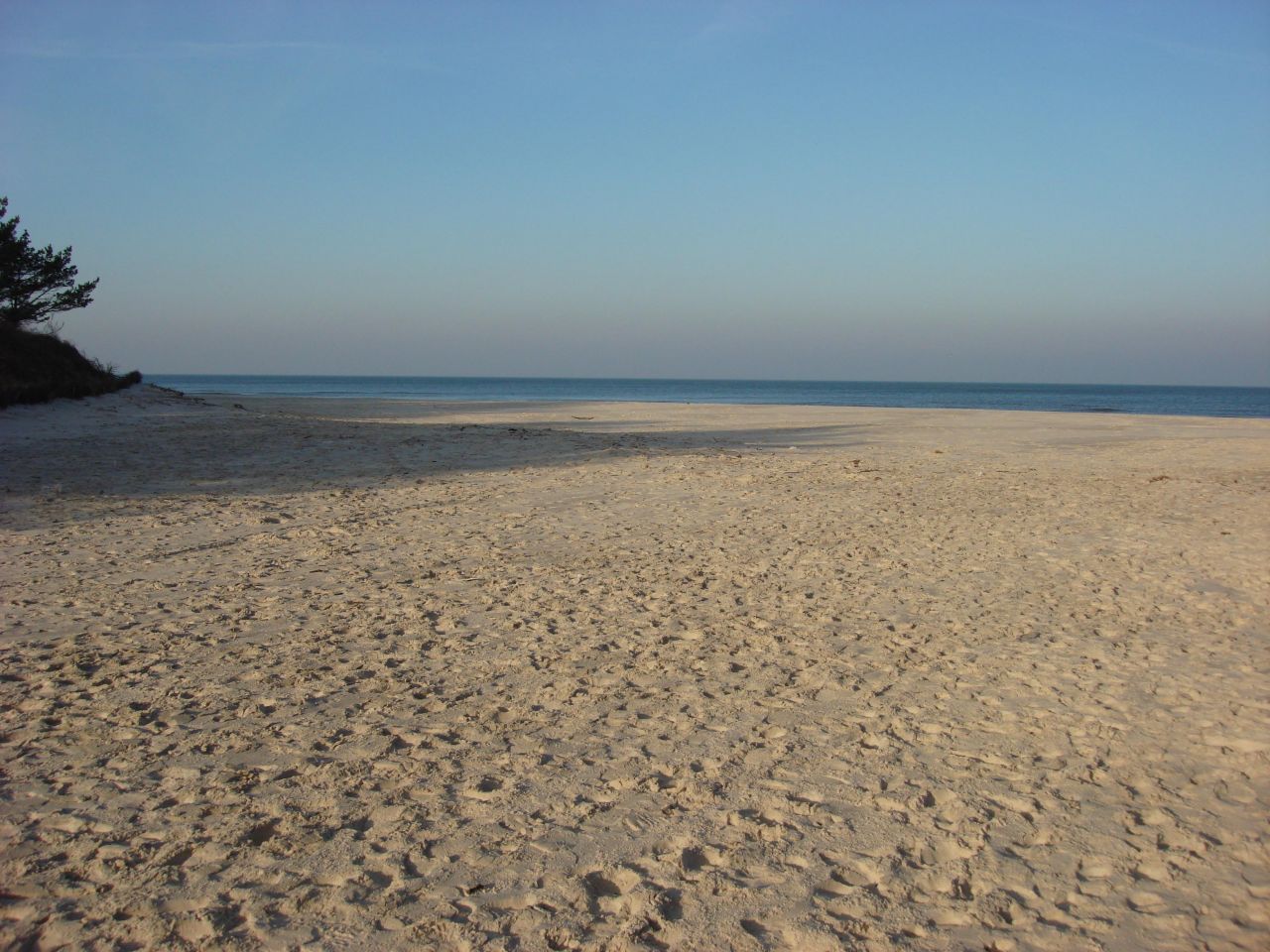 Działka rolna Dębki. Zdjęcie 8