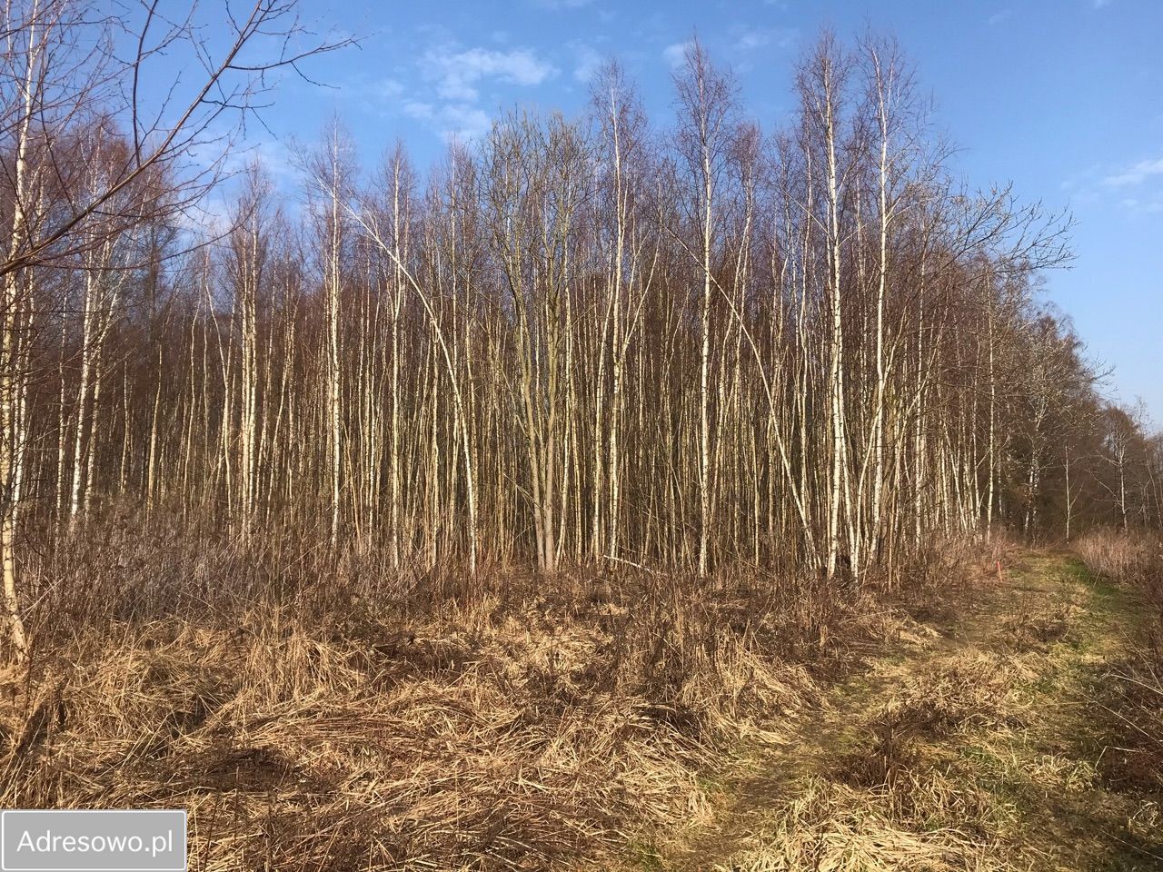 Działka budowlana Olsztyn Osiedle Generałów, ul. Majora Jana Piwnika. Zdjęcie 7