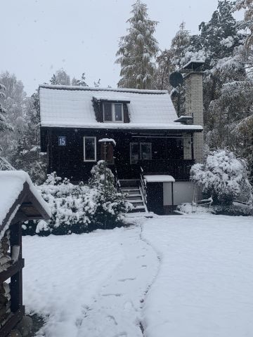 Działka rekreacyjna Borzychy, ul. Modrzewiowa. Zdjęcie 12
