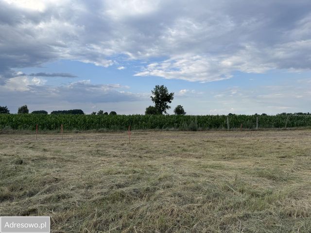 Działka budowlana Gąsawy, ul. Figowa. Zdjęcie 1