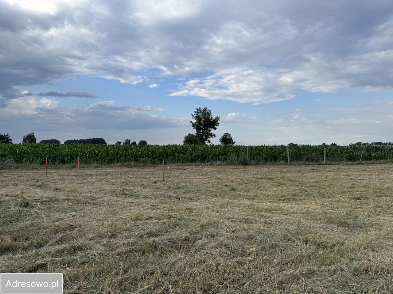 Działka budowlana Gąsawy, ul. Figowa