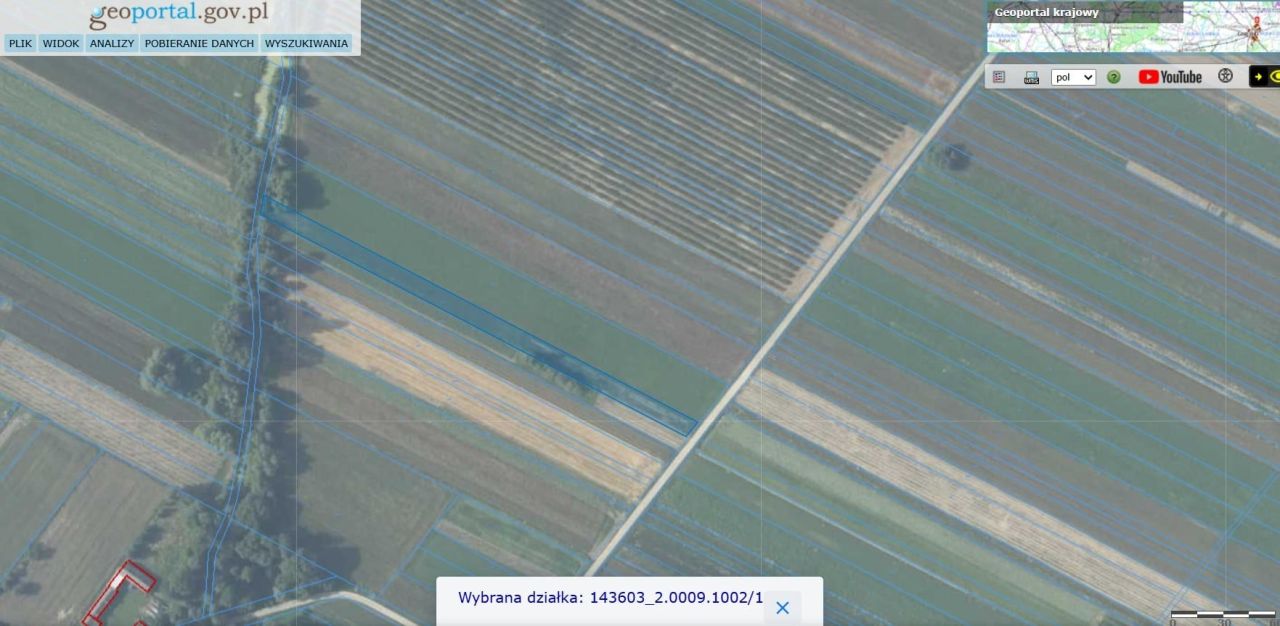 Działka rolna Lucimia. Zdjęcie 4