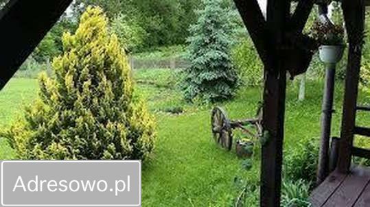 Działka rekreacyjna Teptiuków. Zdjęcie 4