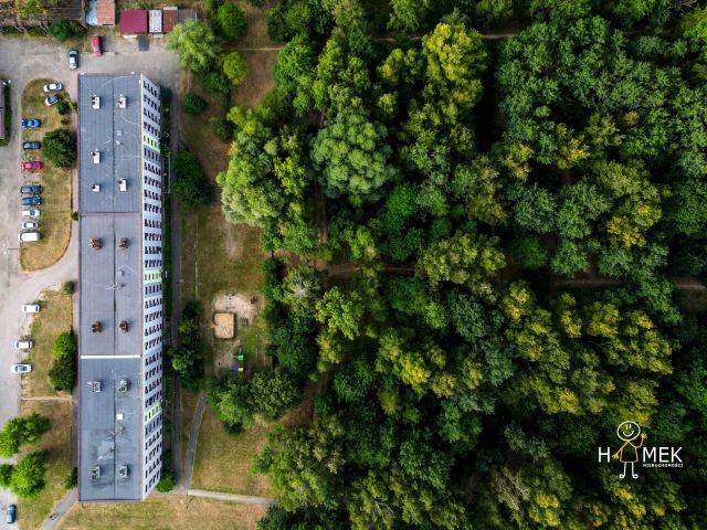 Mieszkanie 2-pokojowe Zabrze Centrum, ul. Wolności. Zdjęcie 11