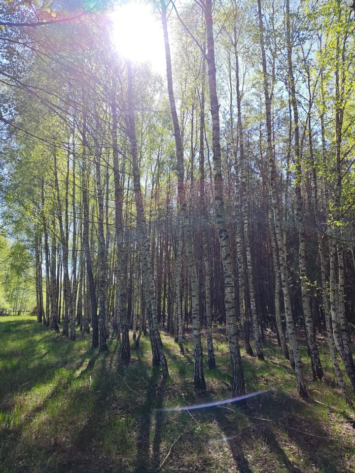 Działka rolno-budowlana Długie Grodzieckie Nad Jeziorem. Zdjęcie 6