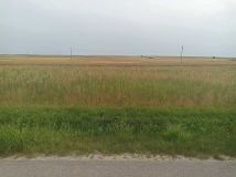 Działka budowlana Sielec. Zdjęcie 2