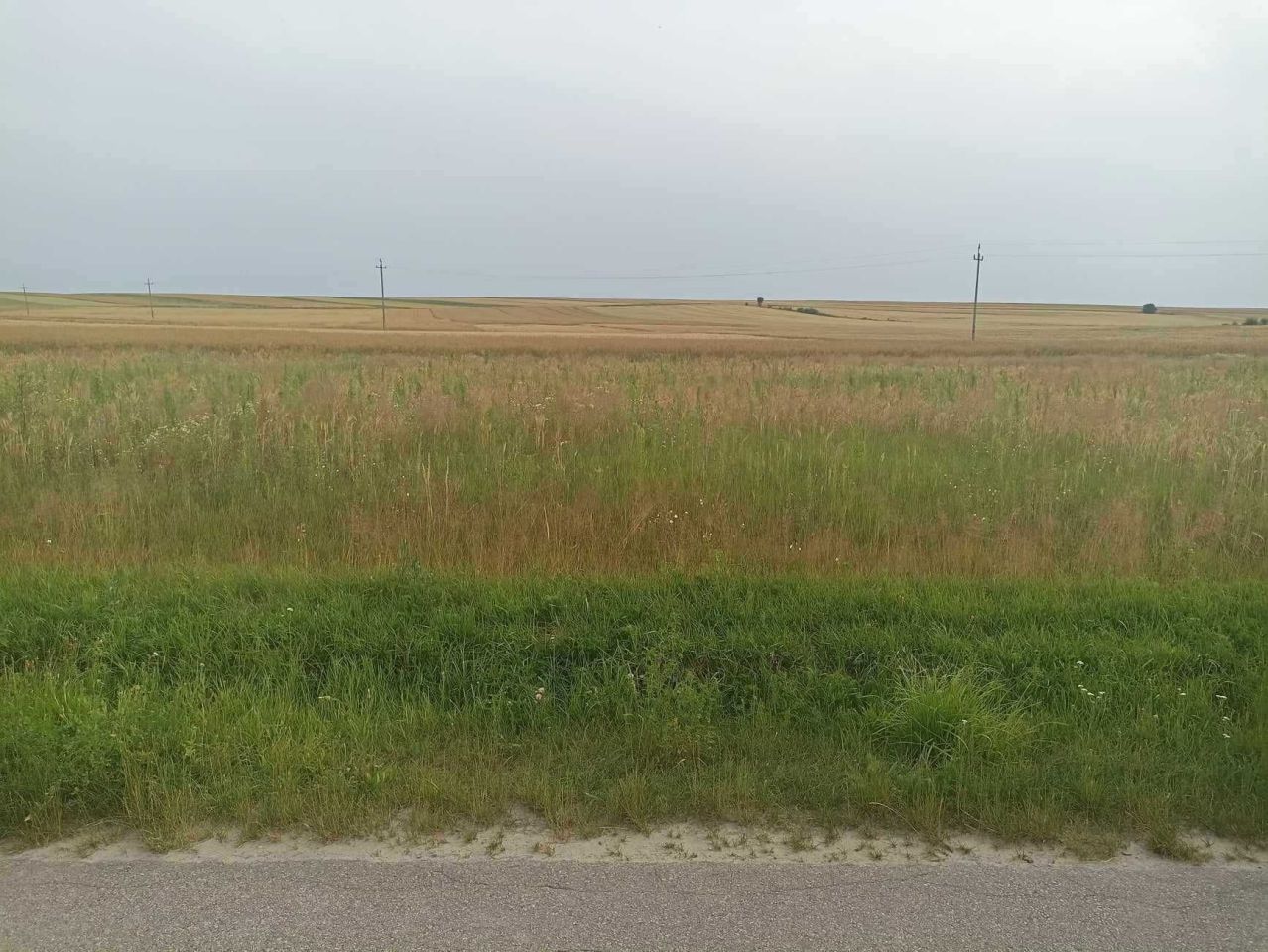 Działka budowlana Sielec. Zdjęcie 3