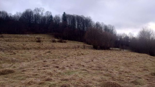 Działka budowlana Mszana Dolna, ul. Grunwaldzka. Zdjęcie 1