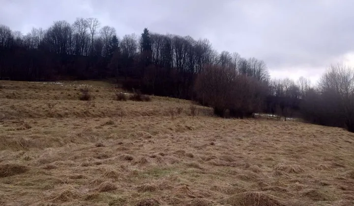 Działka budowlana Mszana Dolna, ul. Grunwaldzka