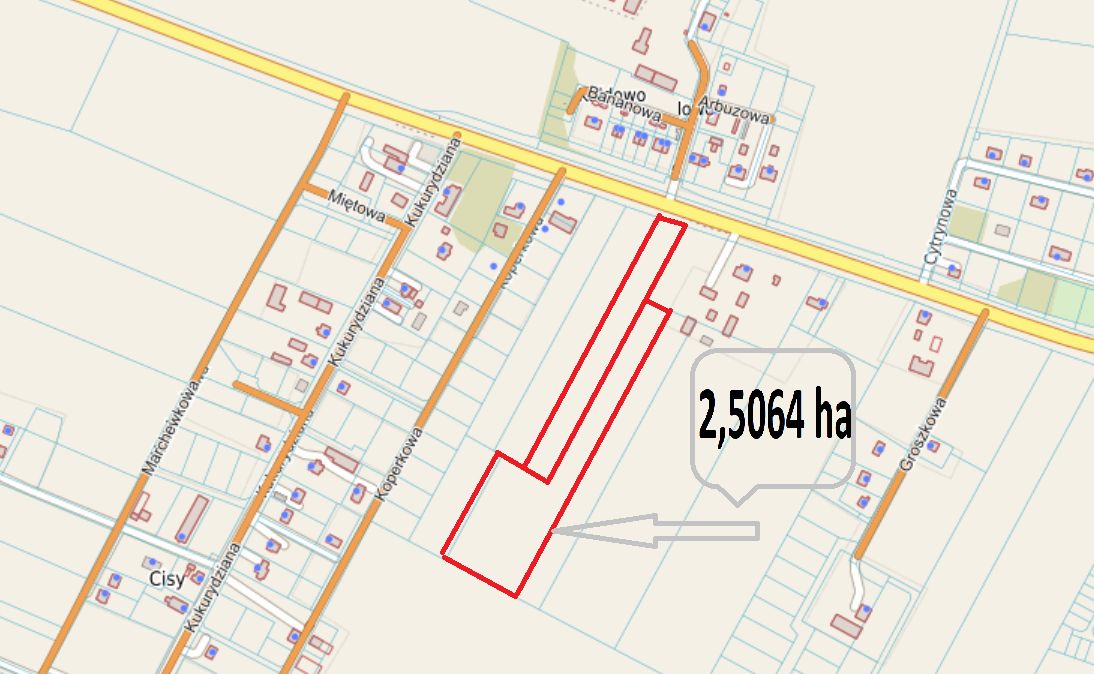 Działka rolna Cisy, Cisy. Zdjęcie 4