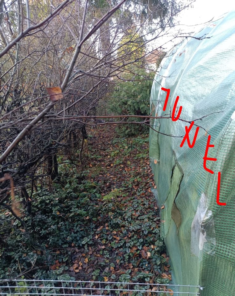 Działka rod Białystok Bagnówka, ul. Krzysztofa Pendereckiego. Zdjęcie 11