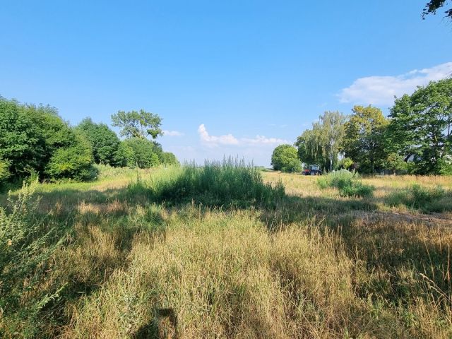 Działka budowlana Jaksin. Zdjęcie 11