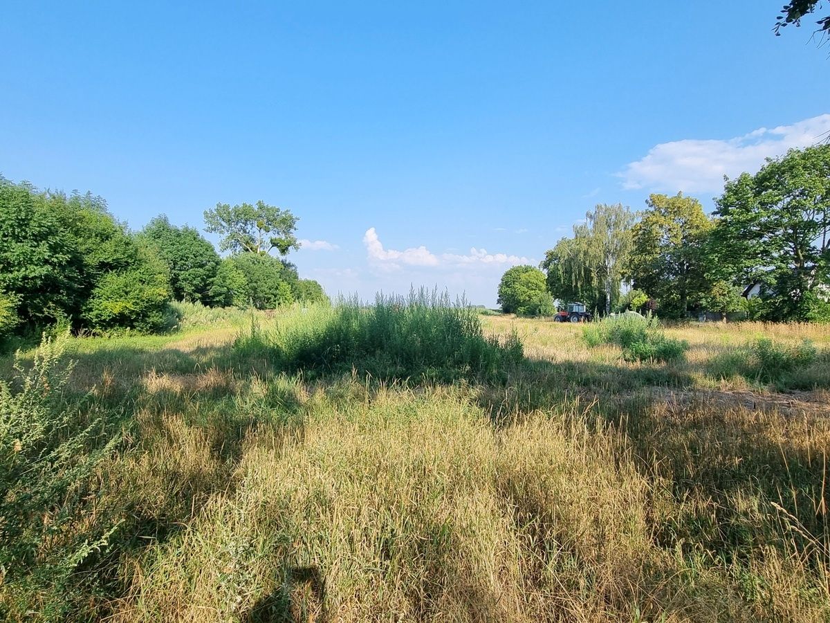Działka budowlana Jaksin. Zdjęcie 11