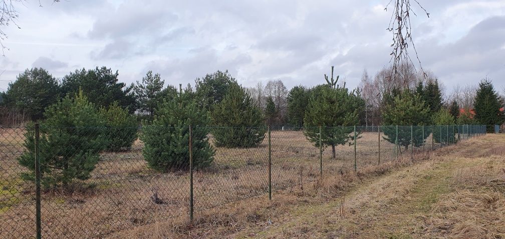 Działka budowlana Ciechocinek. Zdjęcie 3