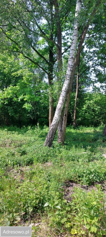 Działka budowlana Radom Krychnowice, ul. Ludwinowska