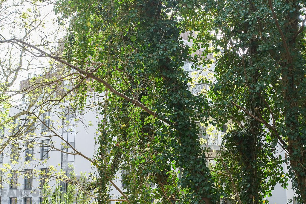 Mieszkanie 3-pokojowe Dziwnów. Zdjęcie 5