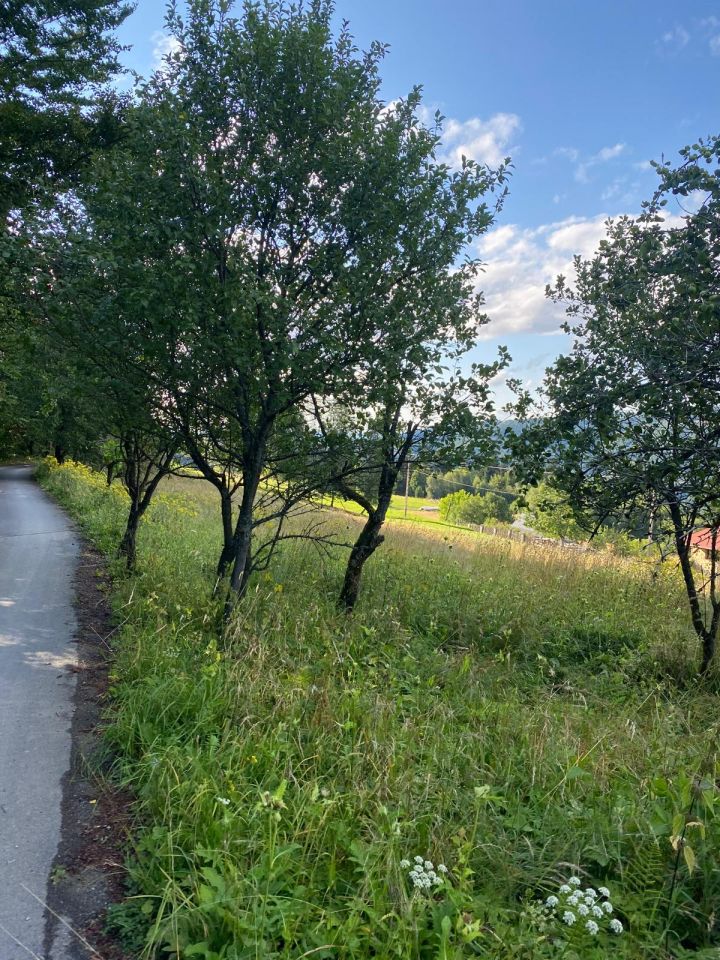 Działka rolna Wisła Centrum, ul. Kamienna. Zdjęcie 4