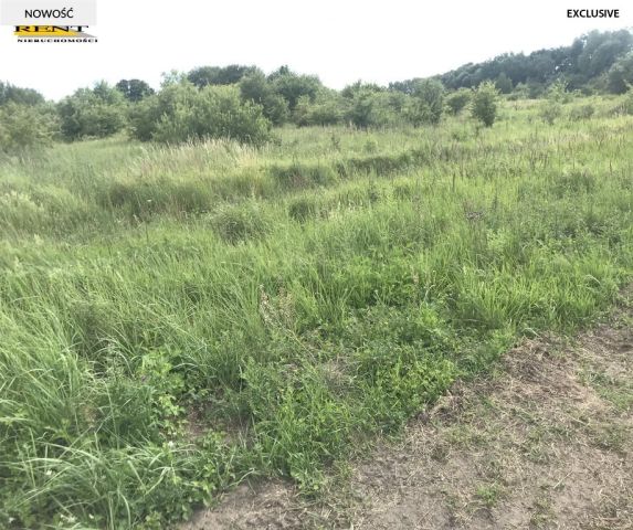 Działka budowlana Mierzyn. Zdjęcie 5