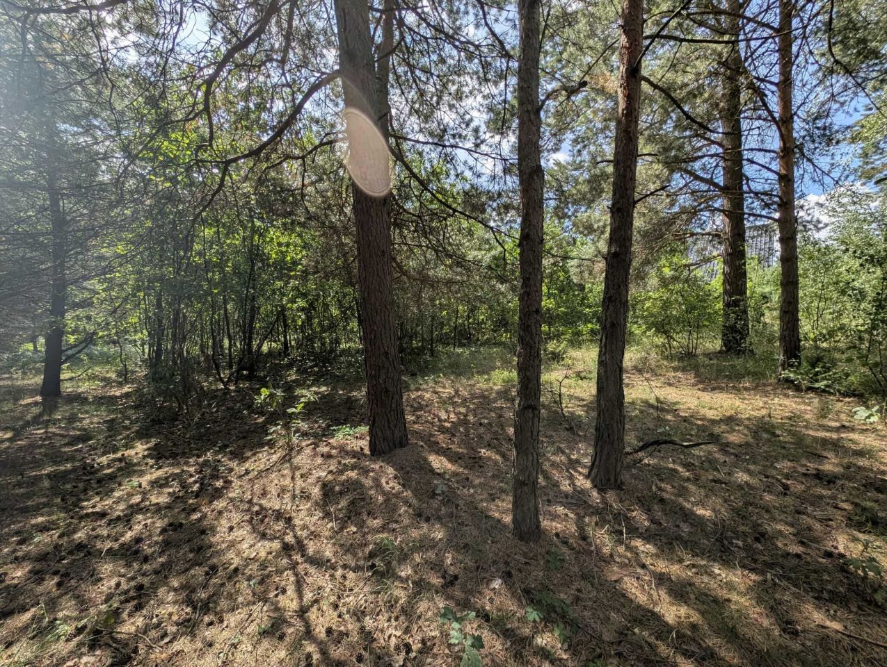 Działka budowlana Niewodnica Korycka. Zdjęcie 6