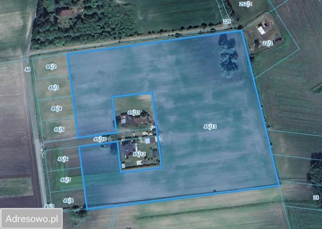 Działka budowlana Antoniew. Zdjęcie 1