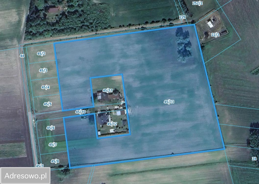 Działka budowlana Antoniew. Zdjęcie 1