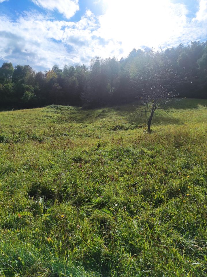 Działka siedliskowa Golcowa. Zdjęcie 10