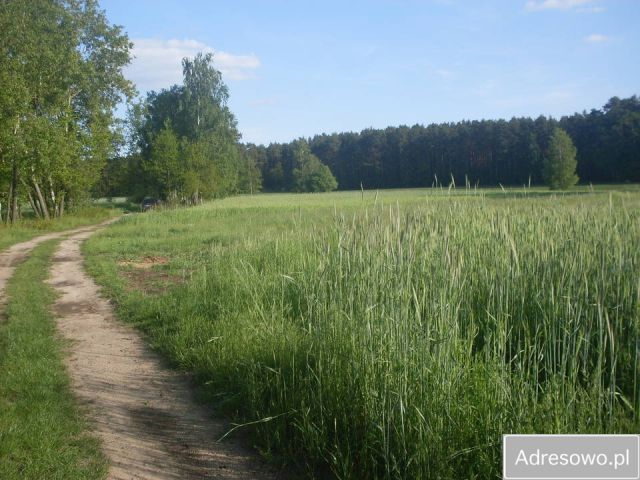 Działka rolna Raszków. Zdjęcie 1