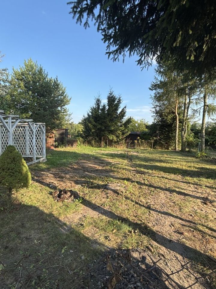 Działka rod Ciechanów. Zdjęcie 4