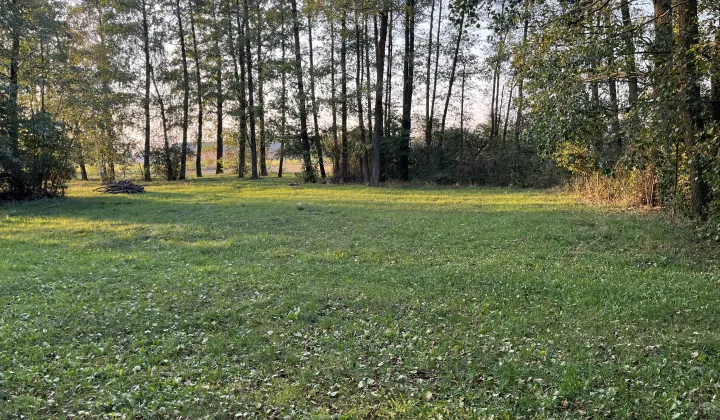 Działka rolno-budowlana Ulasek