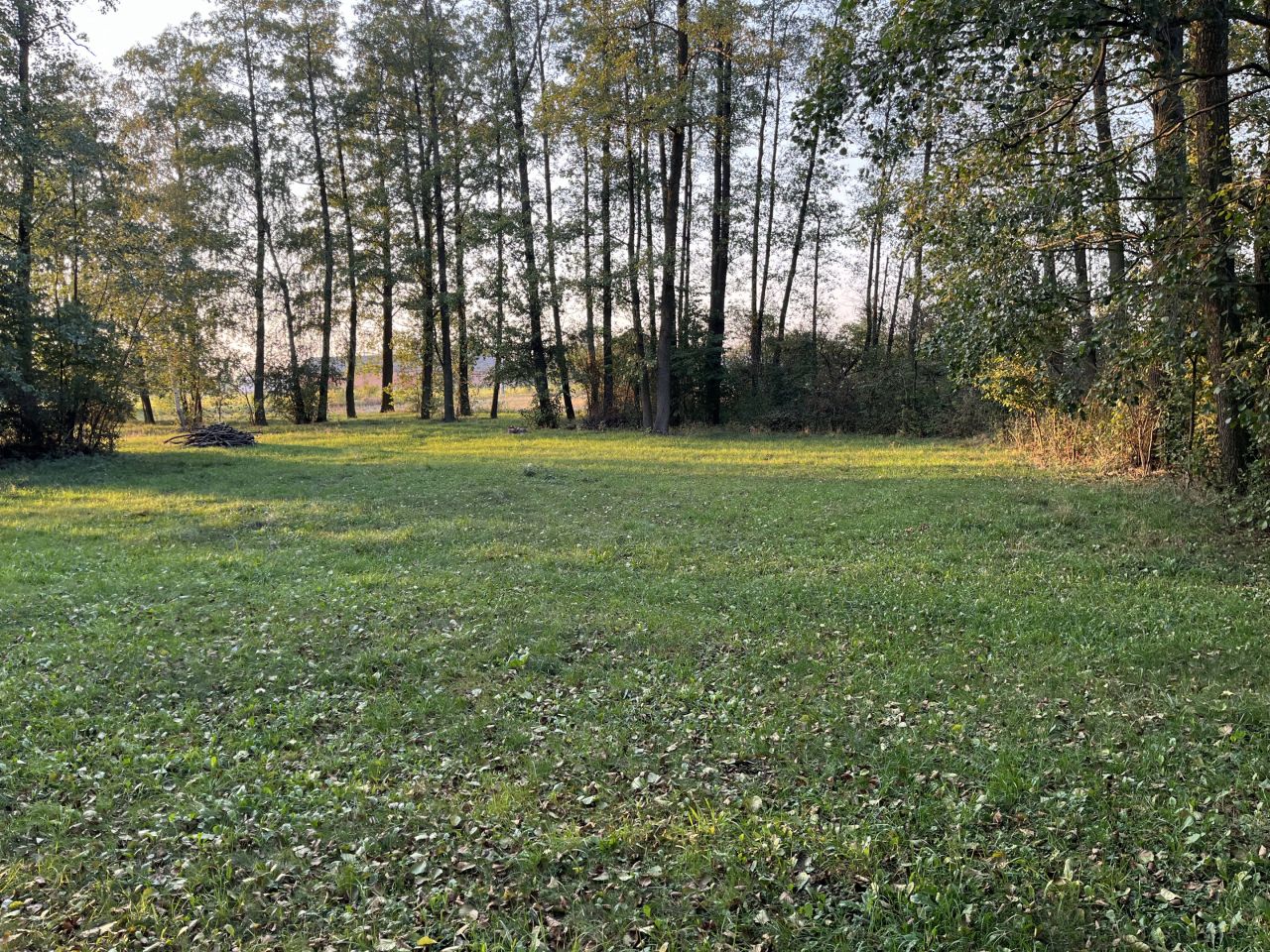Działka rolno-budowlana Ulasek. Zdjęcie 1