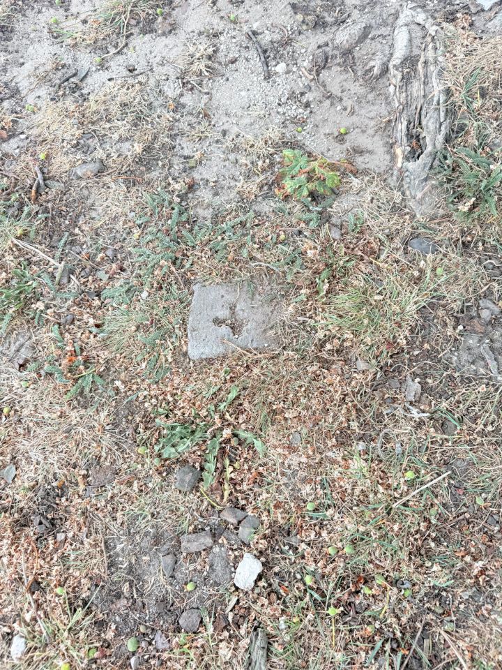 Działka rolno-budowlana Jerzyce. Zdjęcie 2