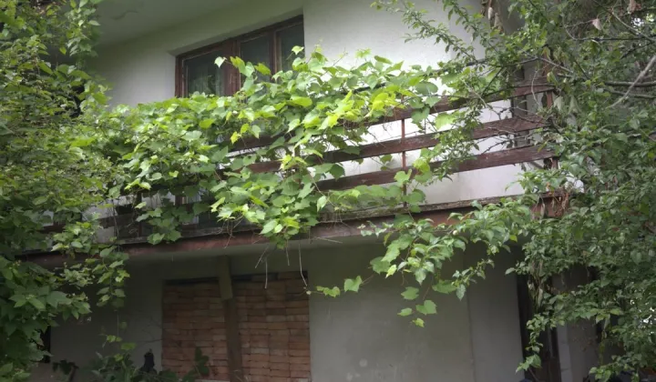 dom wolnostojący, 6 pokoi Krynica-Zdrój
