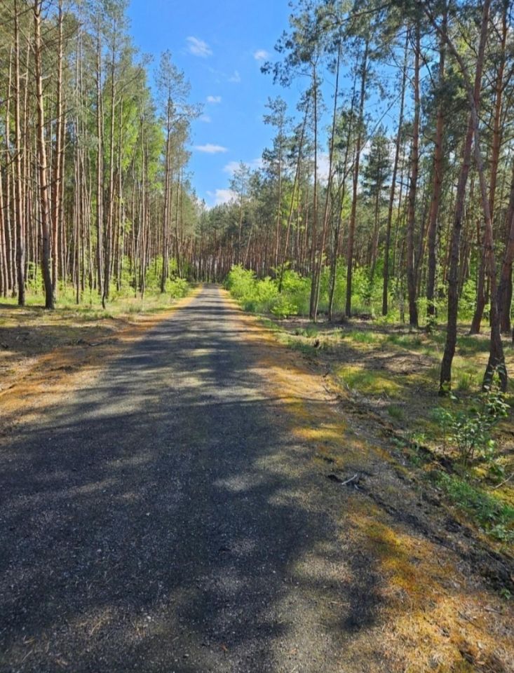 Działka budowlana Solec Kujawski, ul. Garbary. Zdjęcie 3