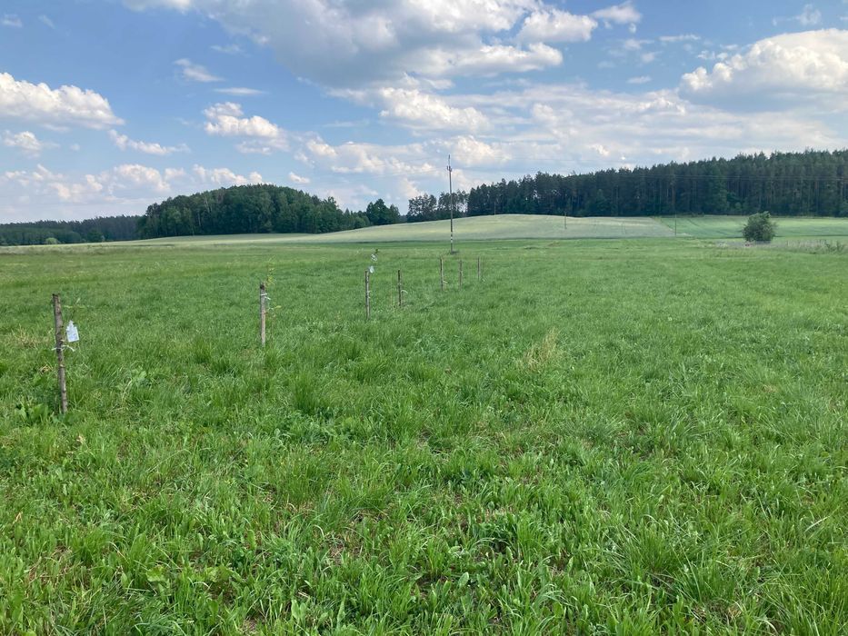 Działka budowlana Kopisk. Zdjęcie 4