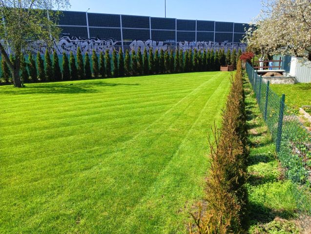 Działka rod Łódź Górna, ul. Romana. Zdjęcie 1