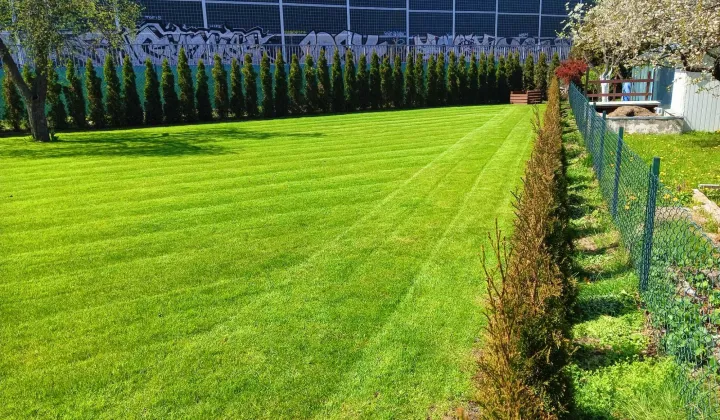 Działka rod Łódź Górna, ul. Romana