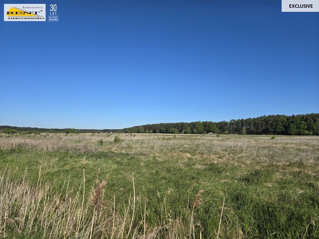 Działka rolna Szczecin. Zdjęcie 10