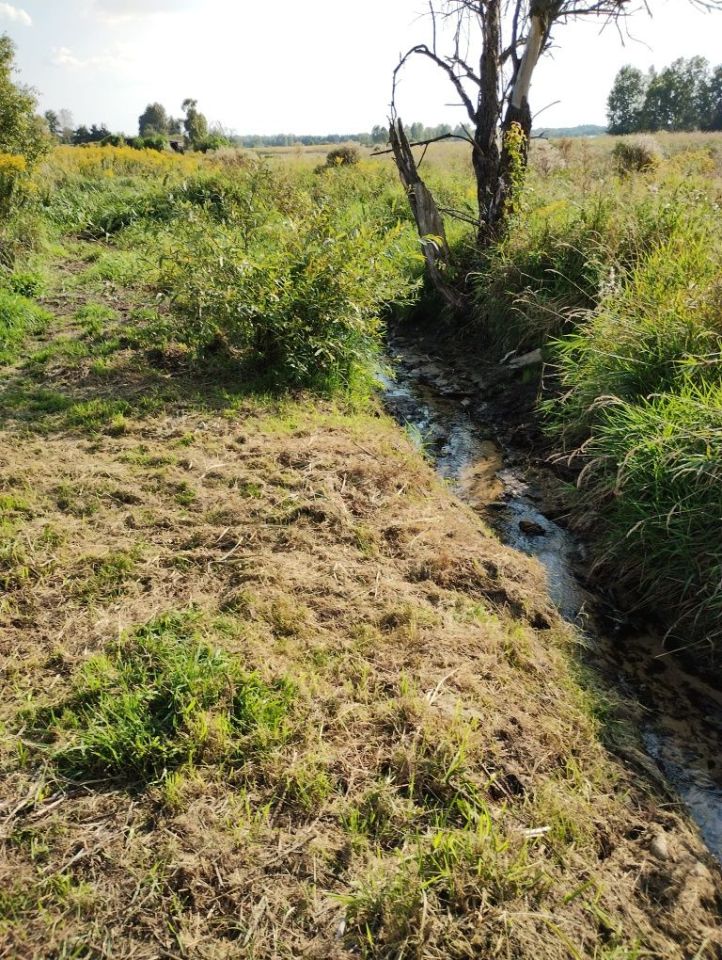 dom wolnostojący Niegowoniczki. Zdjęcie 4