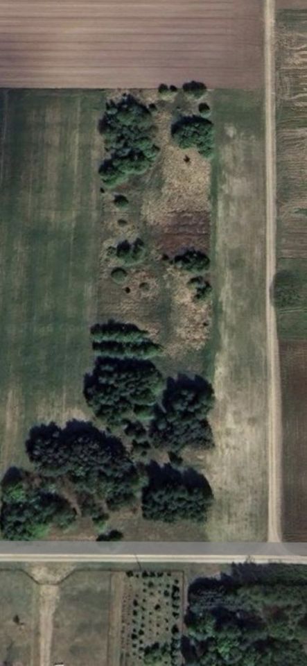 Działka rolno-budowlana Wiercica. Zdjęcie 6