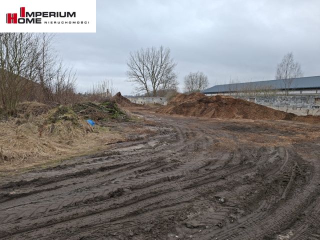 Działka inwestycyjna Chmielno, ul. Jesionowa. Zdjęcie 10