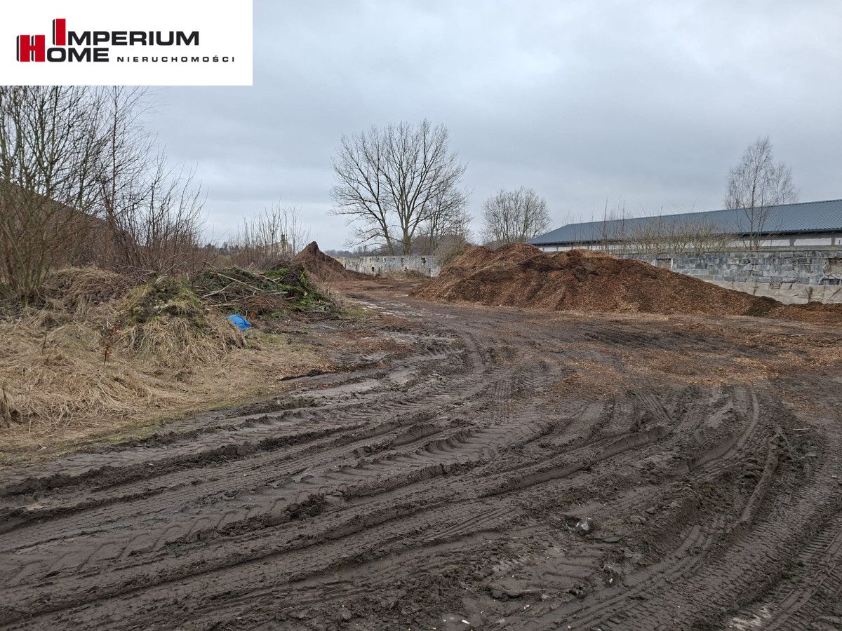 Działka inwestycyjna Chmielno, ul. Jesionowa. Zdjęcie 10